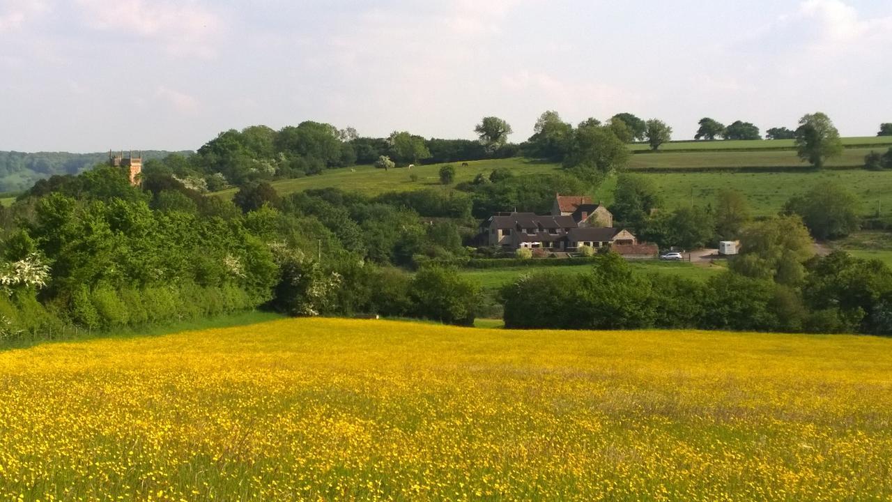 Cameley Lodge - Self Catering Temple Cloud Esterno foto